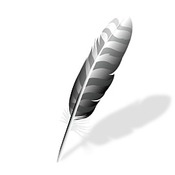 Wing Pro 11.0.7