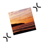 ExactScan Pro 26.6