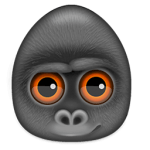 Debookee 8.1.6