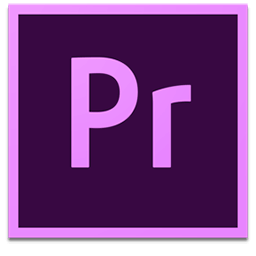 Adobe Premiere Pro CC 2019 v13.1.1