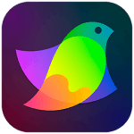 Amadine 1.6.2
