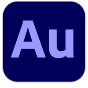 Adobe Audition 2025 v25.3.0