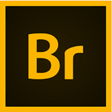 Adobe Bridge 2021 v11.0