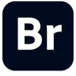 Adobe Bridge 2024 v14.0