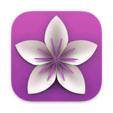 Vellum 3.9.3