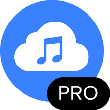 4K YouTube to MP3 Pro 5.5.4