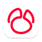 Navicat for Oracle 17.1.5