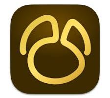 Navicat Premium 17.1.2