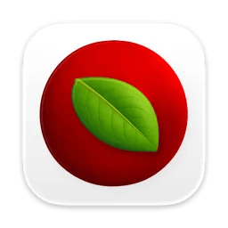 Lingon Pro 10.1.4
